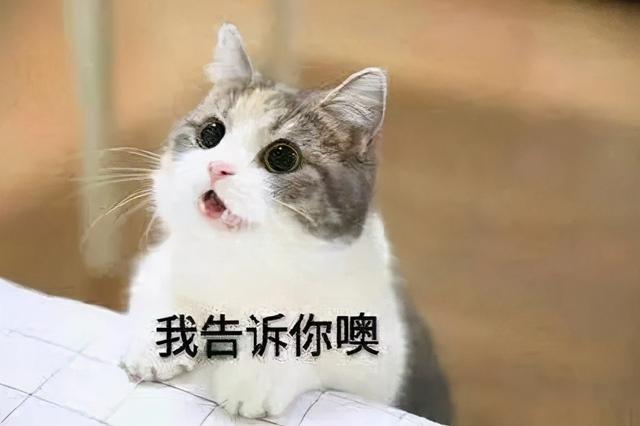 视频号直播带货有戏吗?试水玩家一场带货169万 站长论坛 第3张 视频号直播带货有戏吗?试水玩家一场带货169万 站长论坛 第3张
